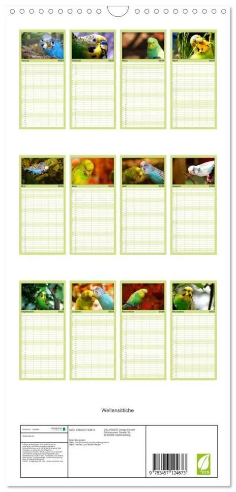 Bild: 9783457124673 | Familienplaner 2025 - Wellensittiche mit 5 Spalten (Wandkalender,...