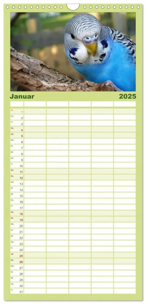 Bild: 9783457124673 | Familienplaner 2025 - Wellensittiche mit 5 Spalten (Wandkalender,...
