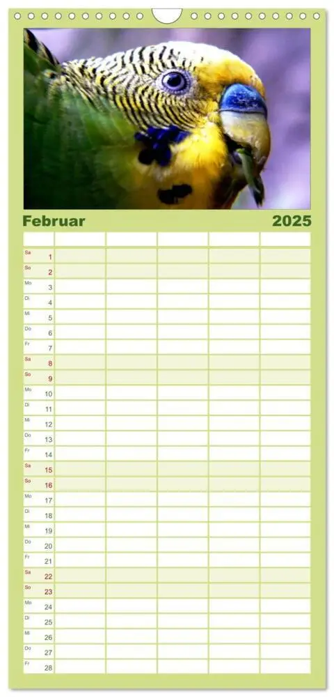 Bild: 9783457124673 | Familienplaner 2025 - Wellensittiche mit 5 Spalten (Wandkalender,...