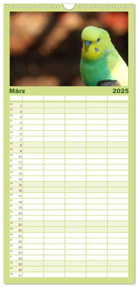Bild: 9783457124673 | Familienplaner 2025 - Wellensittiche mit 5 Spalten (Wandkalender,...