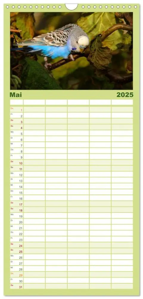 Bild: 9783457124673 | Familienplaner 2025 - Wellensittiche mit 5 Spalten (Wandkalender,...
