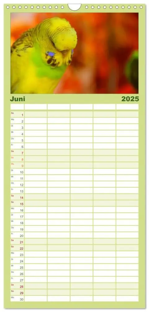 Bild: 9783457124673 | Familienplaner 2025 - Wellensittiche mit 5 Spalten (Wandkalender,...
