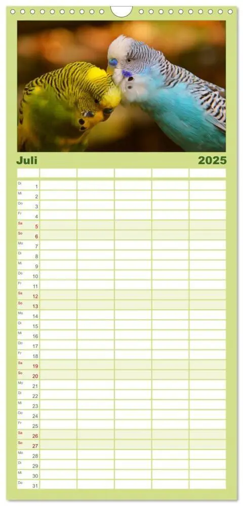 Bild: 9783457124673 | Familienplaner 2025 - Wellensittiche mit 5 Spalten (Wandkalender,...