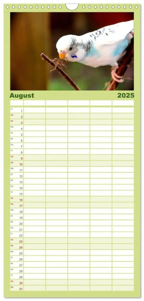 Bild: 9783457124673 | Familienplaner 2025 - Wellensittiche mit 5 Spalten (Wandkalender,...