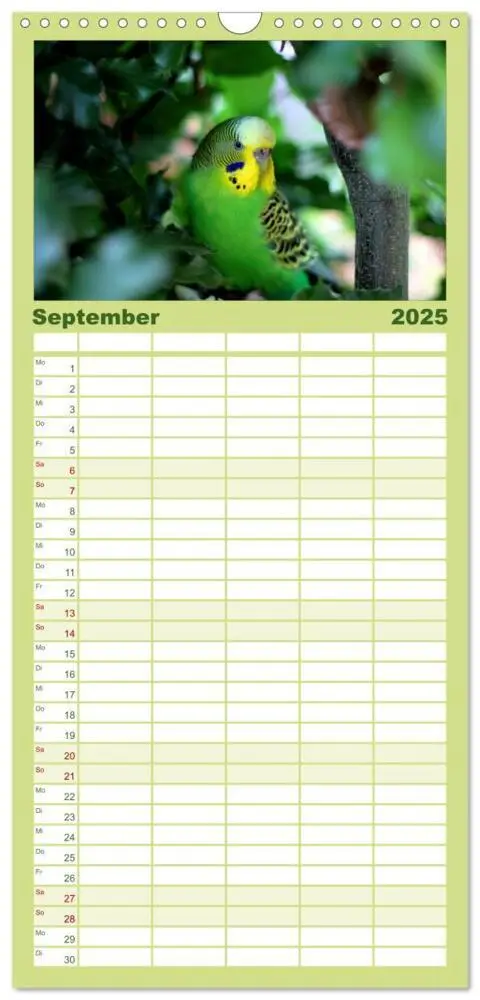 Bild: 9783457124673 | Familienplaner 2025 - Wellensittiche mit 5 Spalten (Wandkalender,...