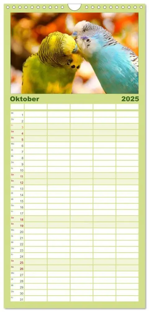 Bild: 9783457124673 | Familienplaner 2025 - Wellensittiche mit 5 Spalten (Wandkalender,...