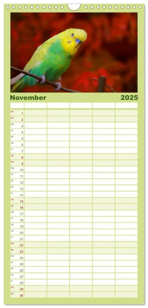 Bild: 9783457124673 | Familienplaner 2025 - Wellensittiche mit 5 Spalten (Wandkalender,...