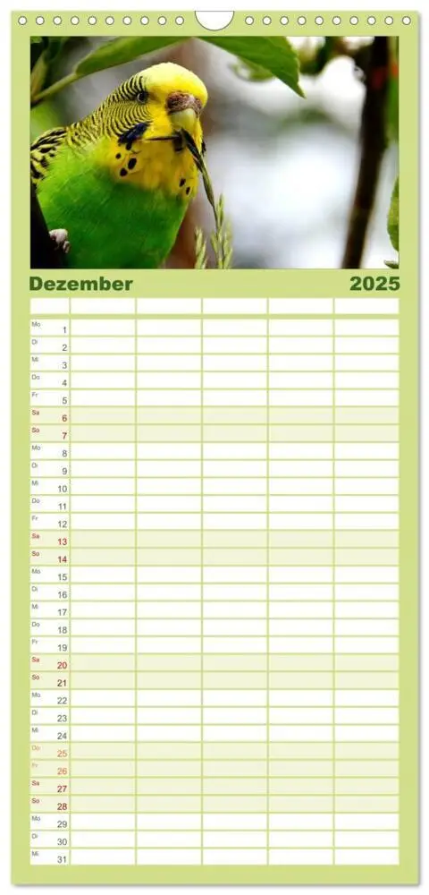 Bild: 9783457124673 | Familienplaner 2025 - Wellensittiche mit 5 Spalten (Wandkalender,...