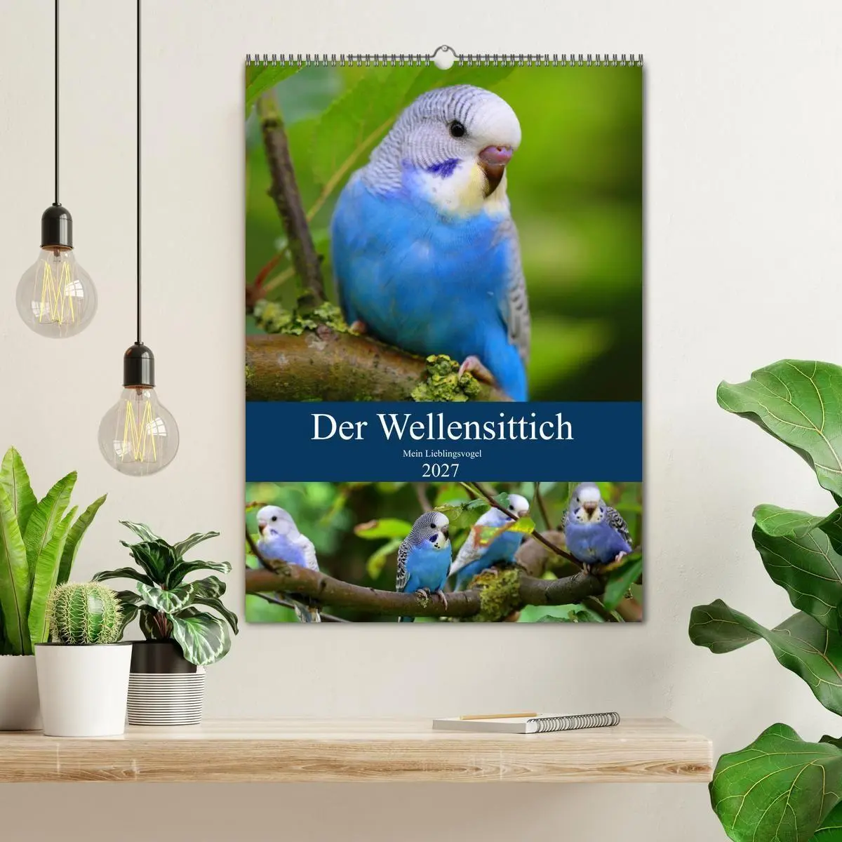 Bild: 9783569544673 | Der Wellensittich - Mein Lieblingsvogel (Wandkalender 2027 DIN A2...