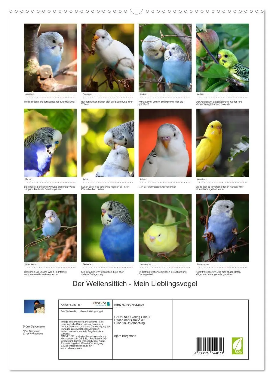 Bild: 9783569544673 | Der Wellensittich - Mein Lieblingsvogel (Wandkalender 2027 DIN A2...