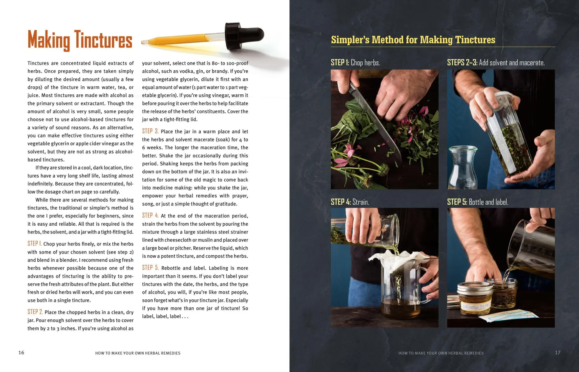 Bild: 9781612124773 | Rosemary Gladstar's Herbal Healing for Men | Rosemary Gladstar | Buch