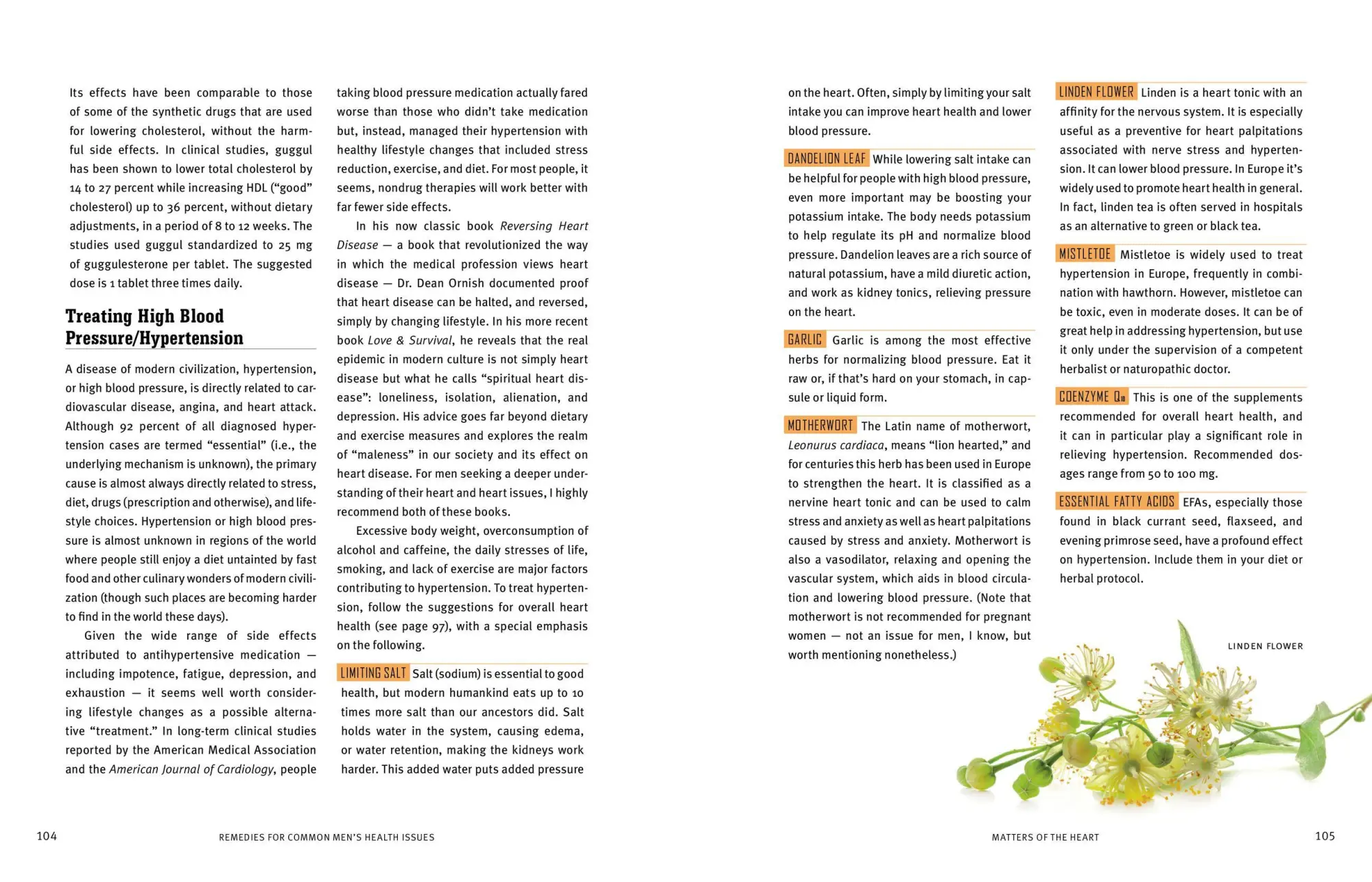 Bild: 9781612124773 | Rosemary Gladstar's Herbal Healing for Men | Rosemary Gladstar | Buch
