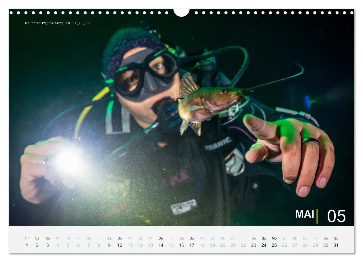 Bild: 9783457664773 | Cenoten Tauchen (Wandkalender 2026 DIN A3 quer), CALVENDO...