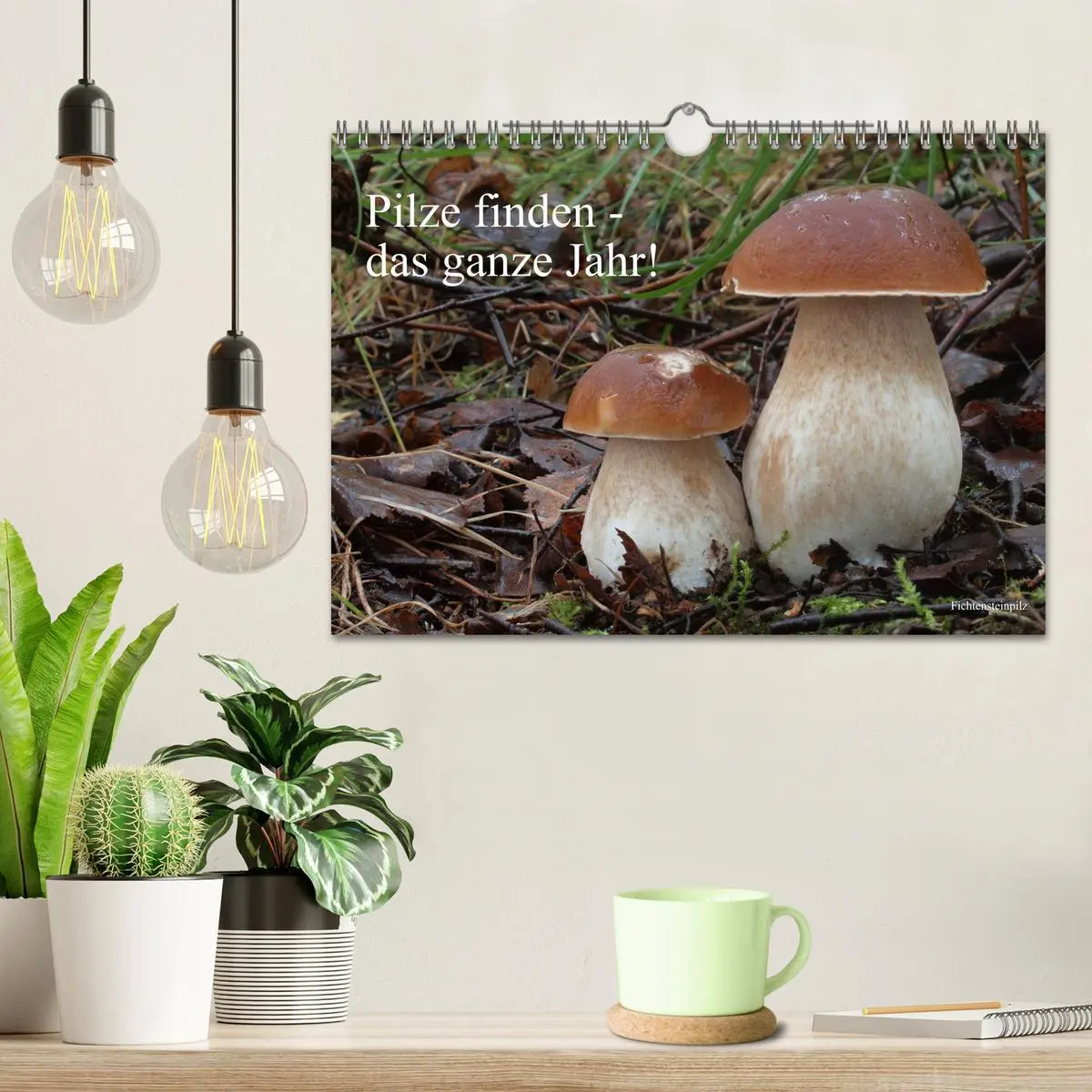 Bild: 9783457804773 | Pilze finden - das ganze Jahr! (Wandkalender 2026 DIN A4 quer),...
