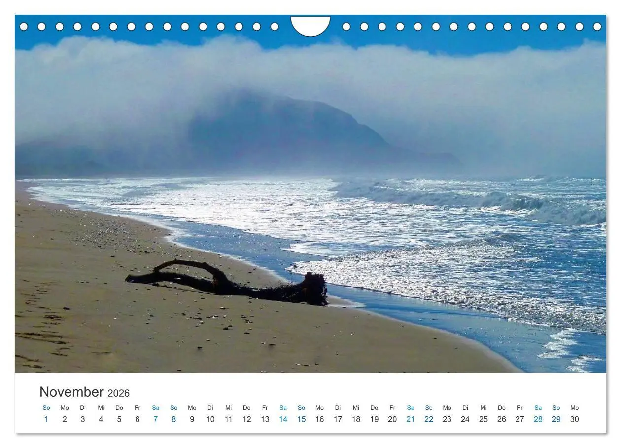 Bild: 9783516204773 | Vielfalt Neuseeland (Wandkalender 2026 DIN A4 quer), CALVENDO...