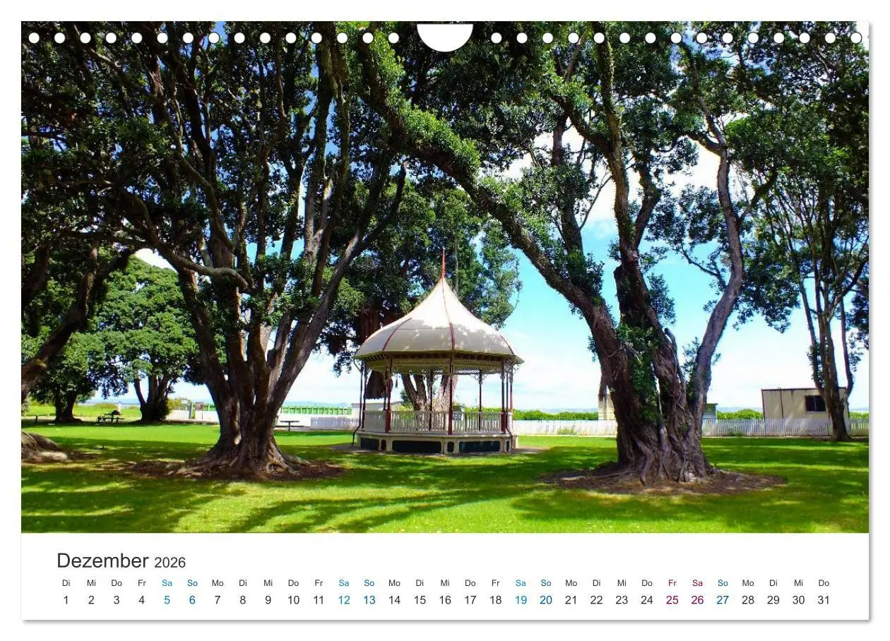 Bild: 9783516204773 | Vielfalt Neuseeland (Wandkalender 2026 DIN A4 quer), CALVENDO...