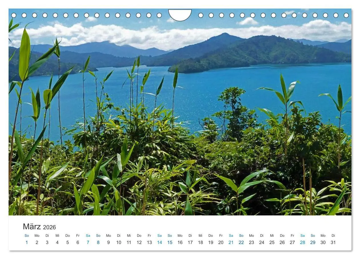 Bild: 9783516204773 | Vielfalt Neuseeland (Wandkalender 2026 DIN A4 quer), CALVENDO...