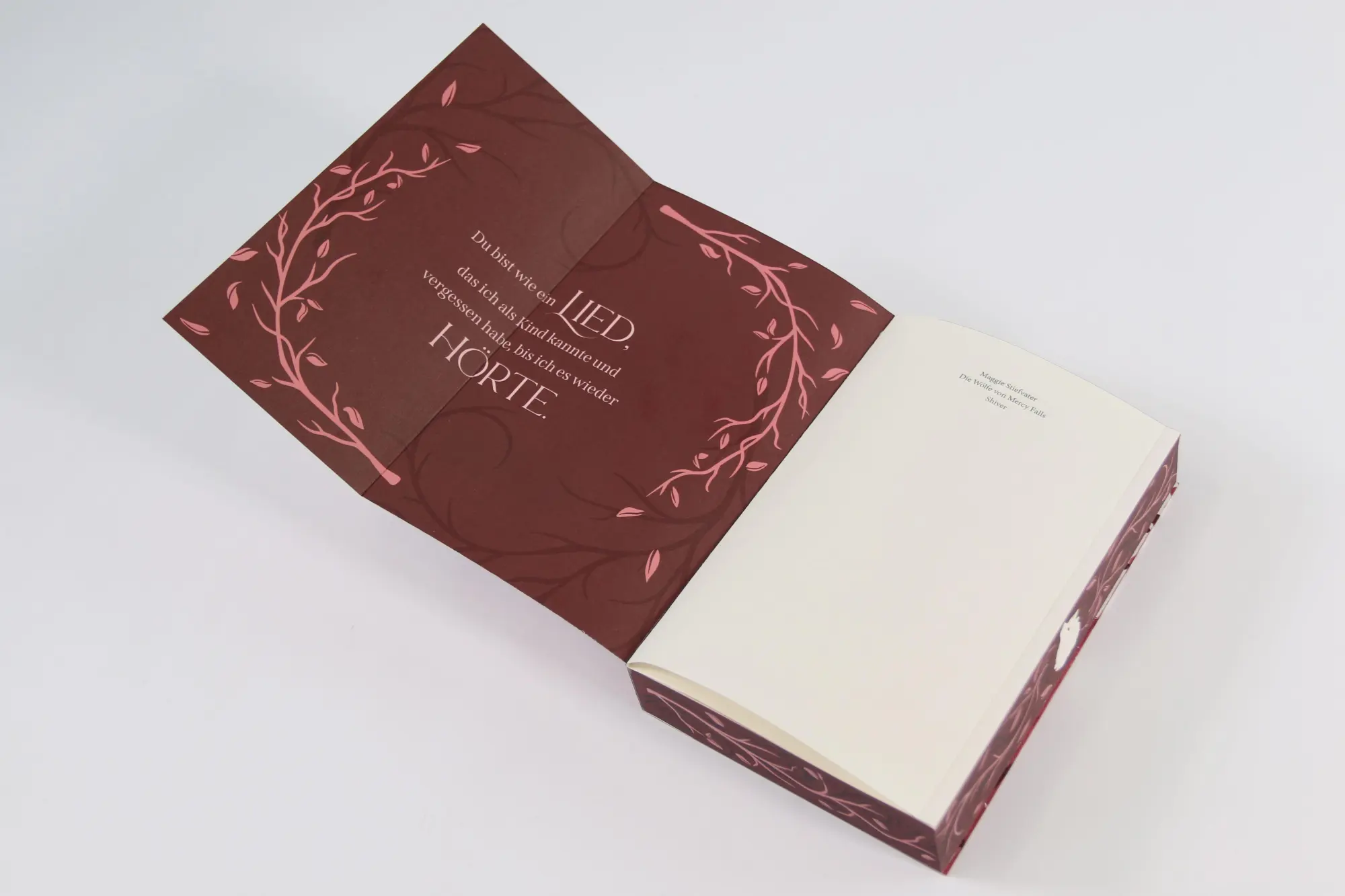 Bild: 9783743224773 | Shiver (Die Wölfe von Mercy Falls, Band 1) | Maggie Stiefvater | Buch