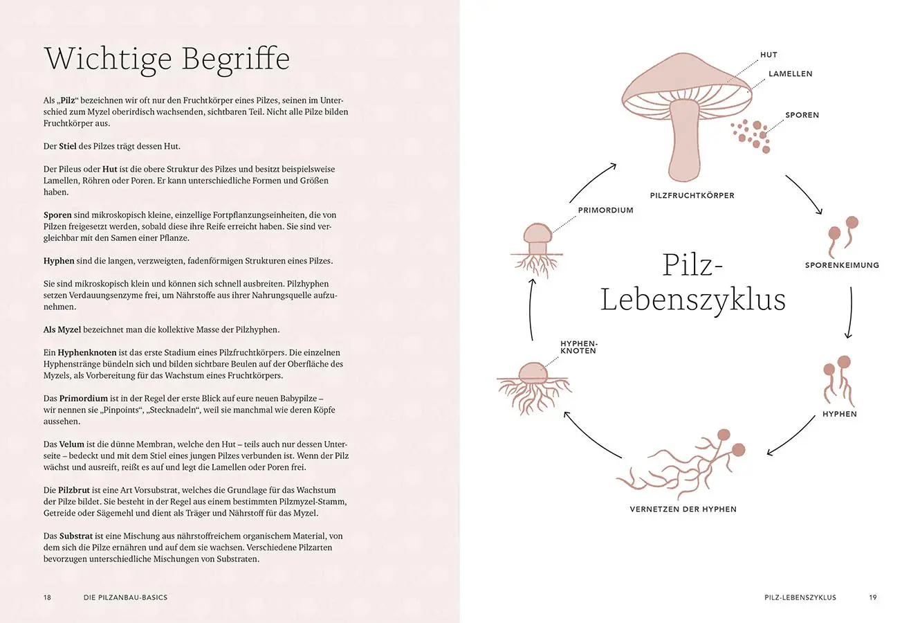 Bild: 9783818624873 | Pilzverrückt | Lorraine Caley (u. a.) | Buch | 192 S. | Deutsch | 2025
