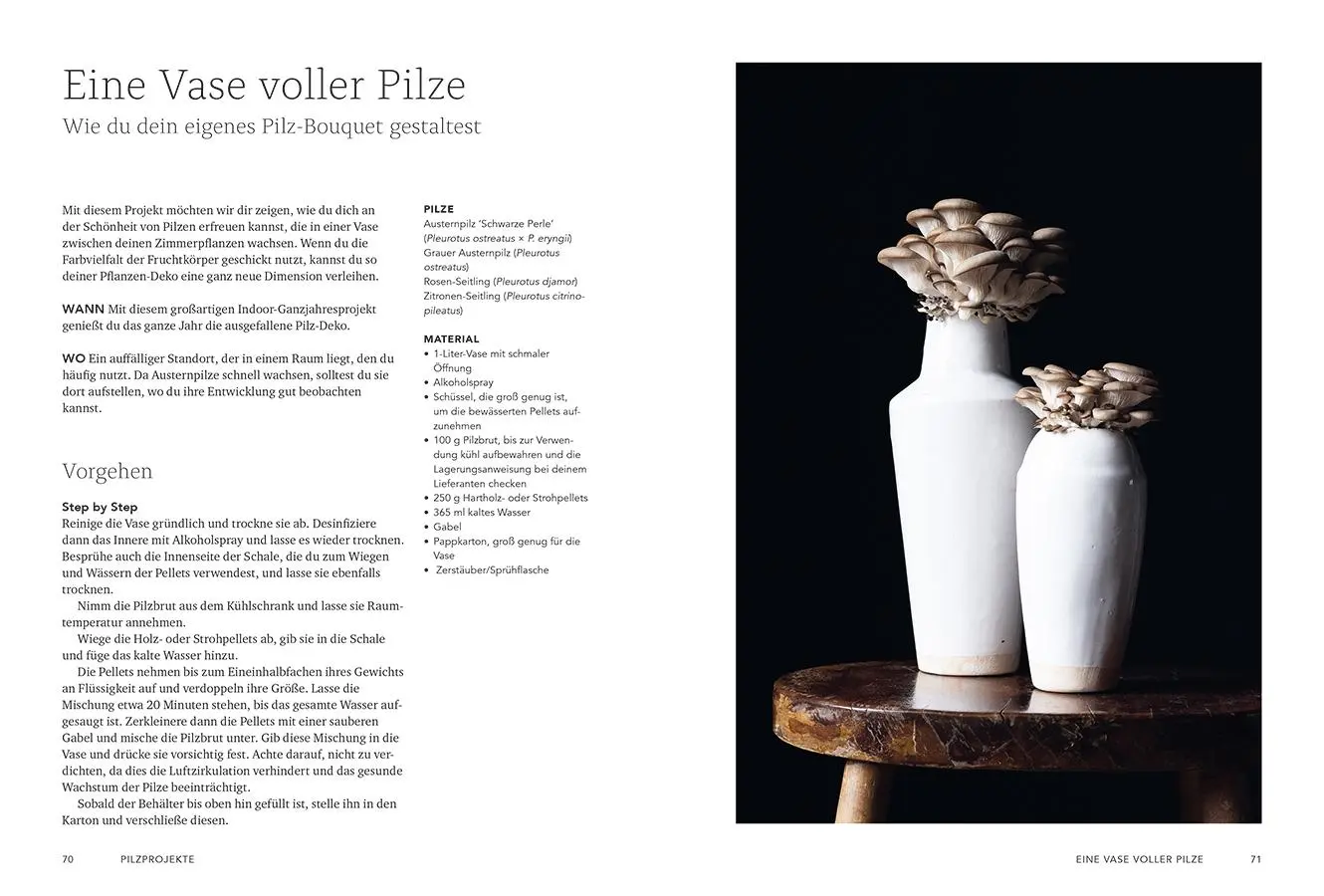 Bild: 9783818624873 | Pilzverrückt | Lorraine Caley (u. a.) | Buch | 192 S. | Deutsch | 2025