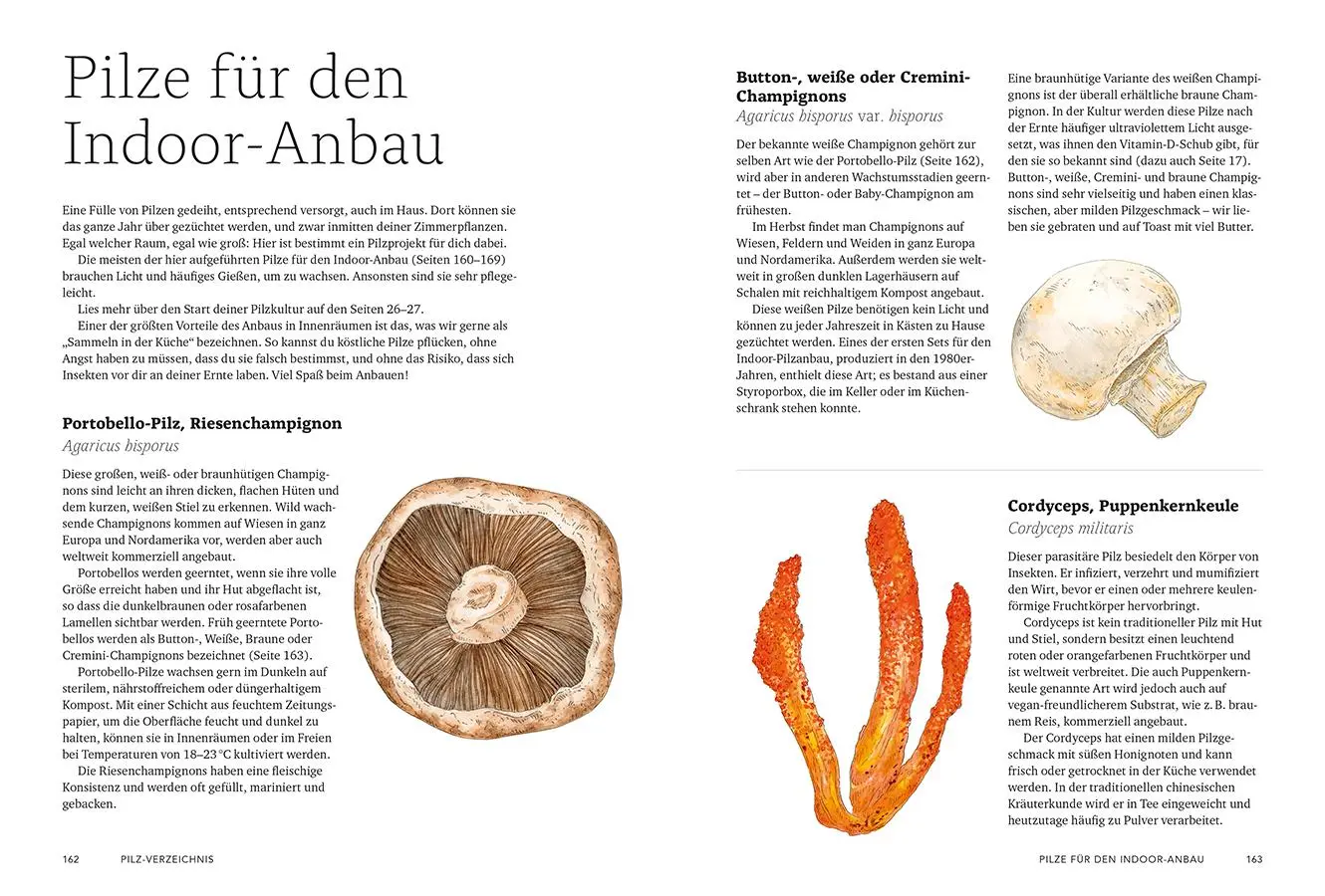 Bild: 9783818624873 | Pilzverrückt | Lorraine Caley (u. a.) | Buch | 192 S. | Deutsch | 2025