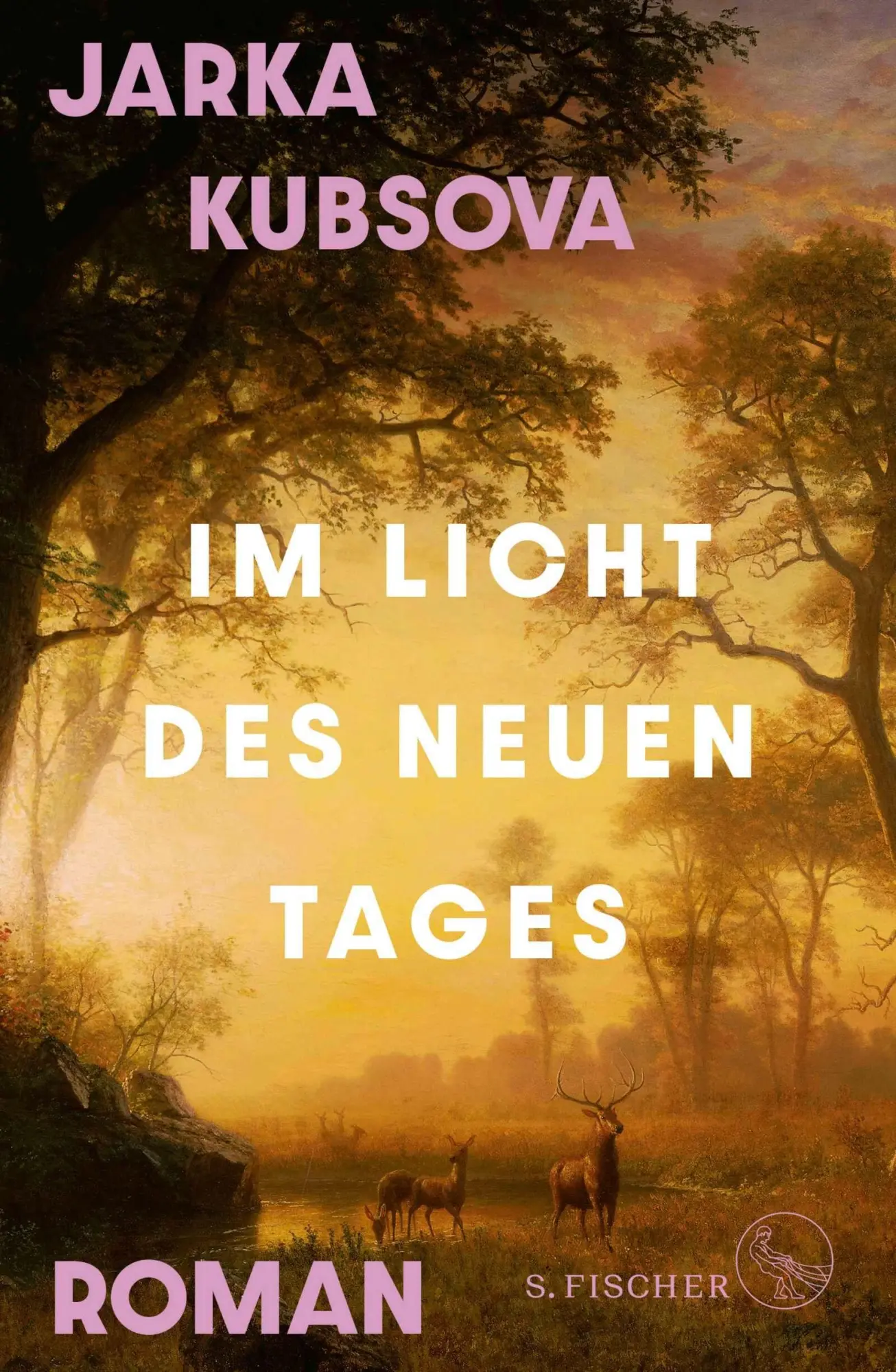 Cover: 9783103974973 | Im Licht des neuen Tages | Roman | Jarka Kubsova | Buch | 304 S.