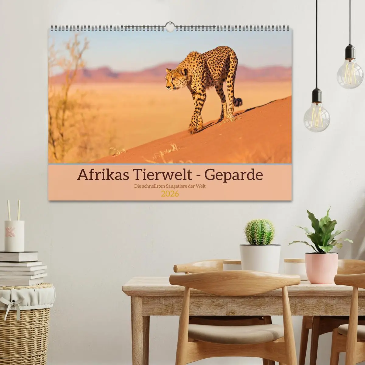 Bild: 9783457264973 | Afrikas Tierwelt - Geparde (Wandkalender 2026 DIN A2 quer),...
