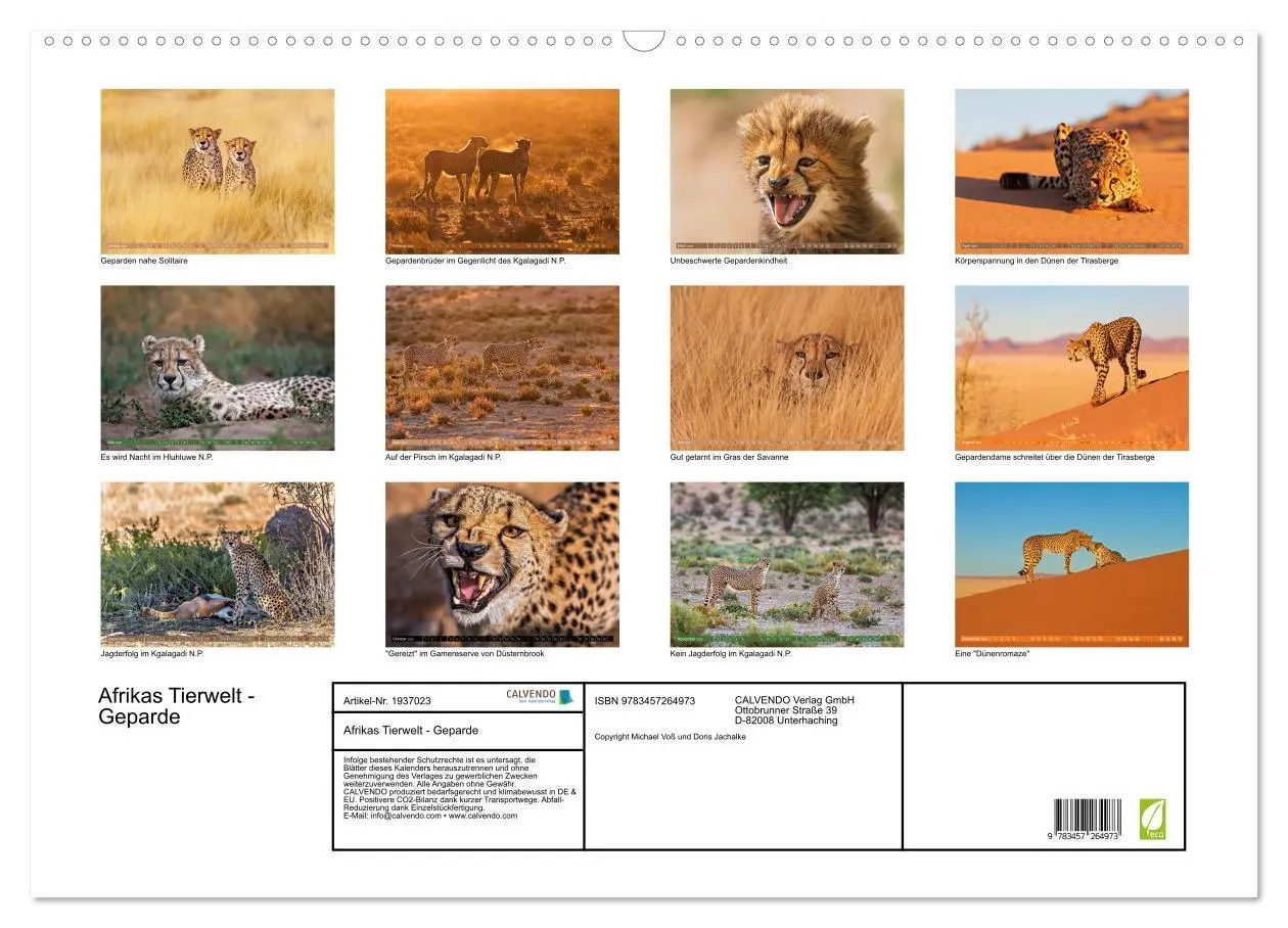 Bild: 9783457264973 | Afrikas Tierwelt - Geparde (Wandkalender 2026 DIN A2 quer),...