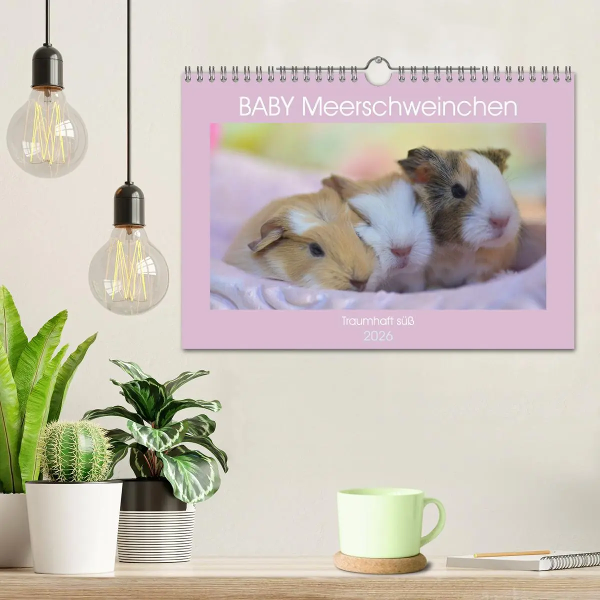Bild: 9783457644973 | BABY Meerschweinchen Traumhaft süß (Wandkalender 2026 DIN A4 quer),...