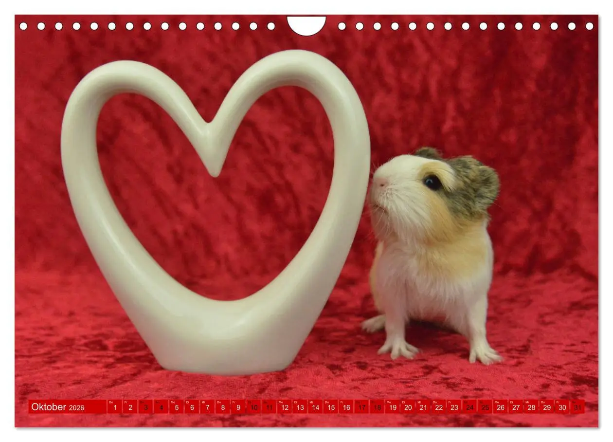 Bild: 9783457644973 | BABY Meerschweinchen Traumhaft süß (Wandkalender 2026 DIN A4 quer),...