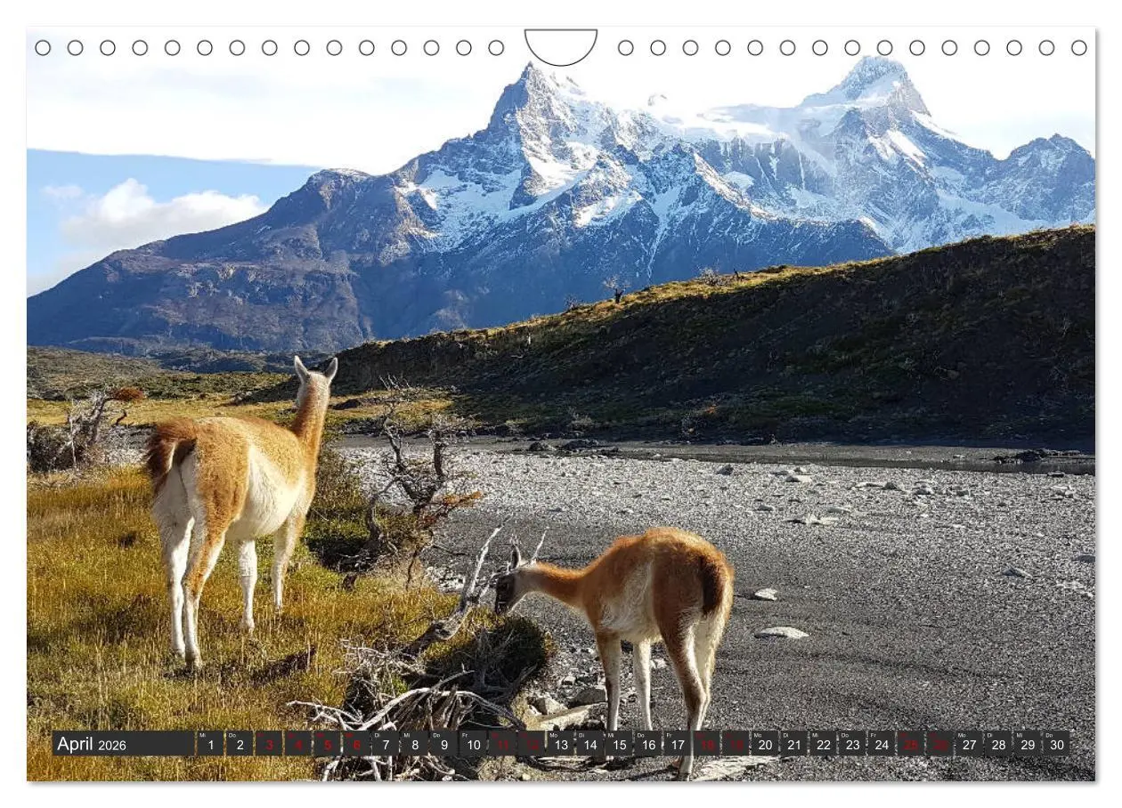 Bild: 9783457884973 | Patagonien - Parques Torres del Paine und Los Glaciares...