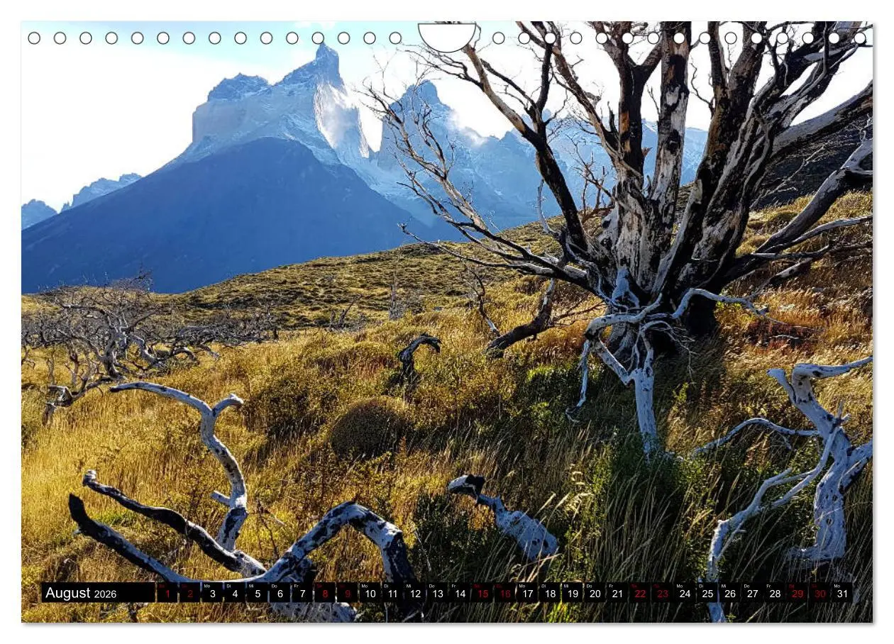Bild: 9783457884973 | Patagonien - Parques Torres del Paine und Los Glaciares...