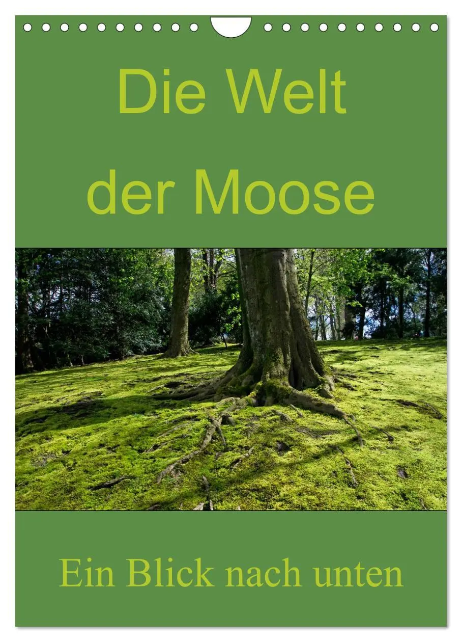 Cover: 9783516424973 | Die Welt der Moose. Ein Blick nach unten (Wandkalender 2026 DIN A4...