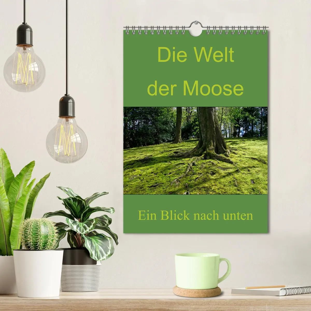 Bild: 9783516424973 | Die Welt der Moose. Ein Blick nach unten (Wandkalender 2026 DIN A4...
