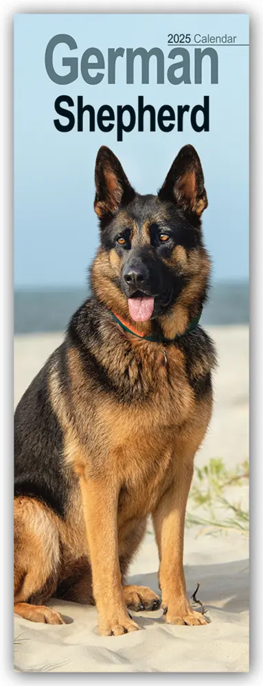 Cover: 9781804605073 | German Shepherds - Deutsche Schäferhunde 2025 | Avonside Publishing