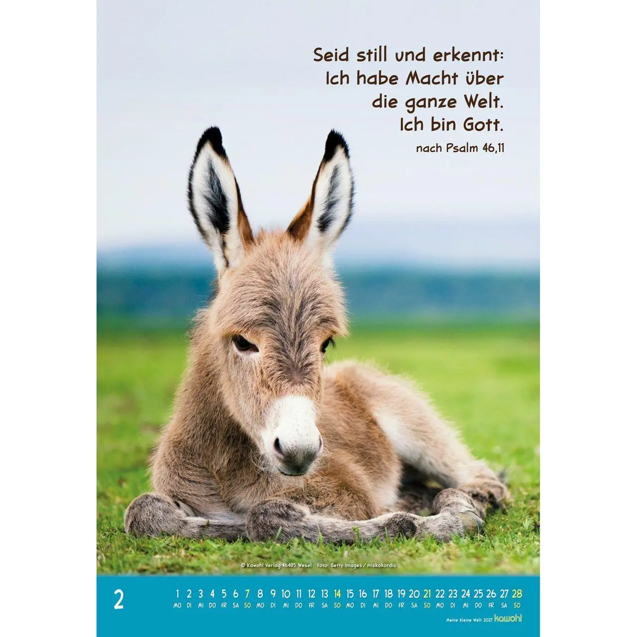 Bild: 9783754845073 | Meine kleine Welt 2027 | Tierkalender mit Bibelworten | Kalender