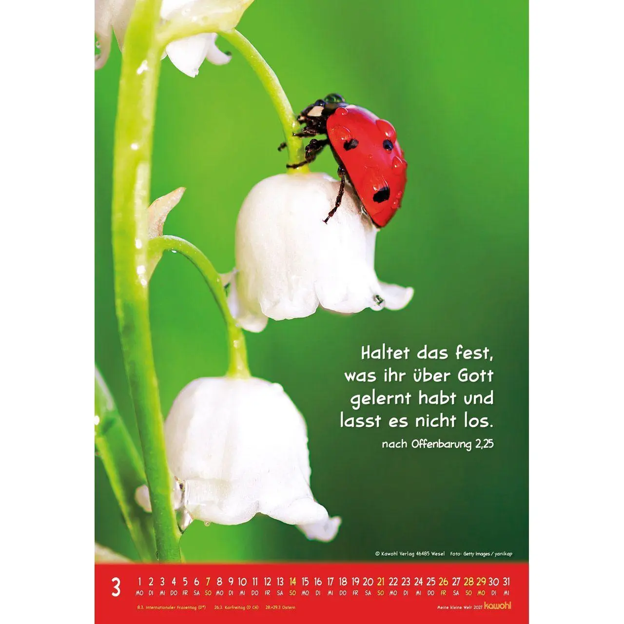 Bild: 9783754845073 | Meine kleine Welt 2027 | Tierkalender mit Bibelworten | Kalender