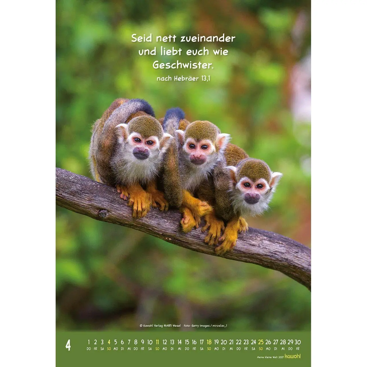 Bild: 9783754845073 | Meine kleine Welt 2027 | Tierkalender mit Bibelworten | Kalender