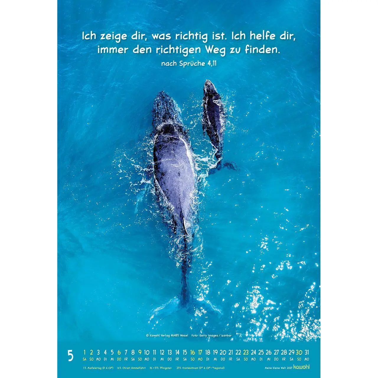 Bild: 9783754845073 | Meine kleine Welt 2027 | Tierkalender mit Bibelworten | Kalender