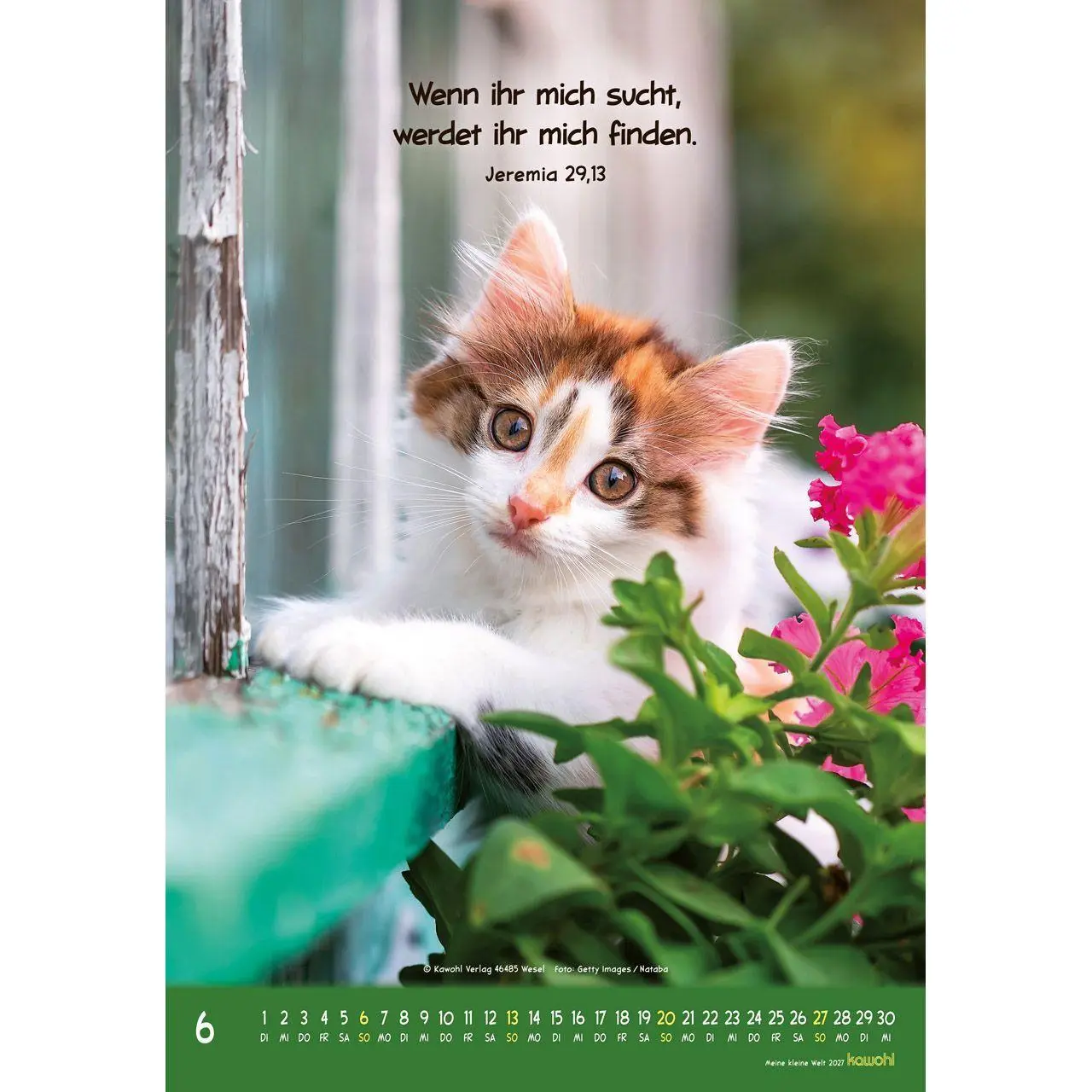 Bild: 9783754845073 | Meine kleine Welt 2027 | Tierkalender mit Bibelworten | Kalender