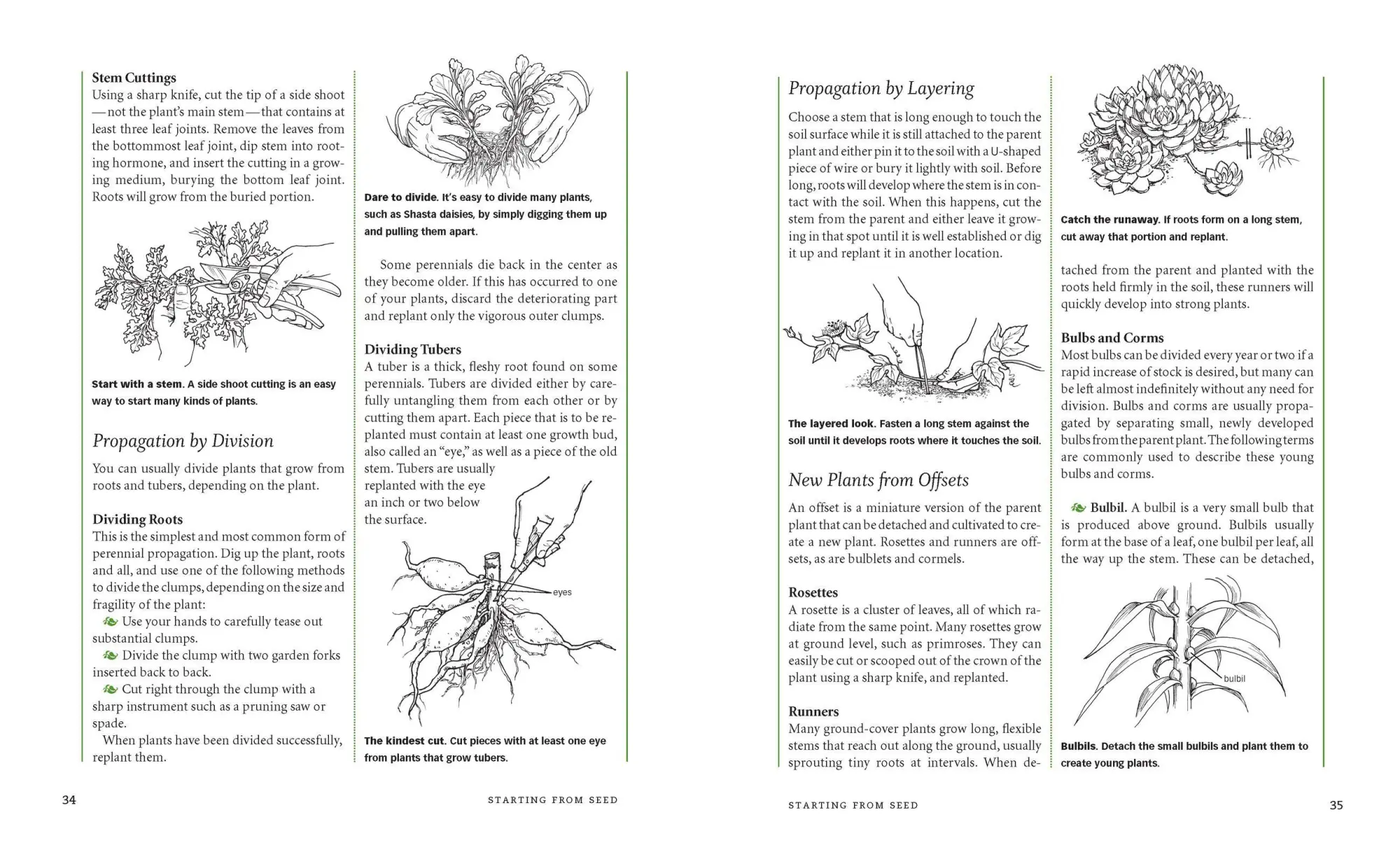 Bild: 9781580175173 | The Gardener's A-Z Guide to Growing Flowers from Seed to Bloom | Buch
