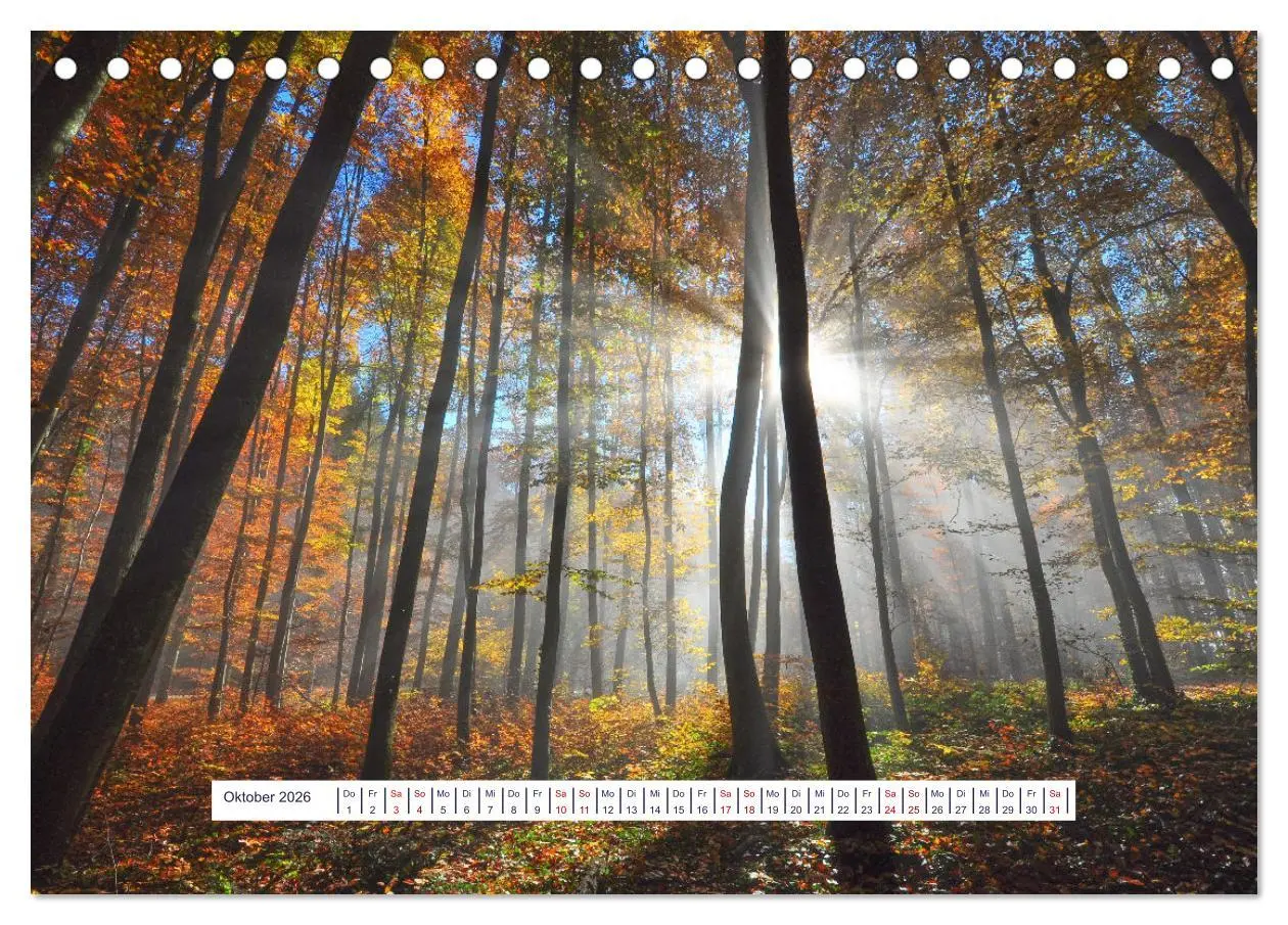 Bild: 9783457525173 | Vom Augenblick der Stille 2026 (Tischkalender 2026 DIN A5 quer),...