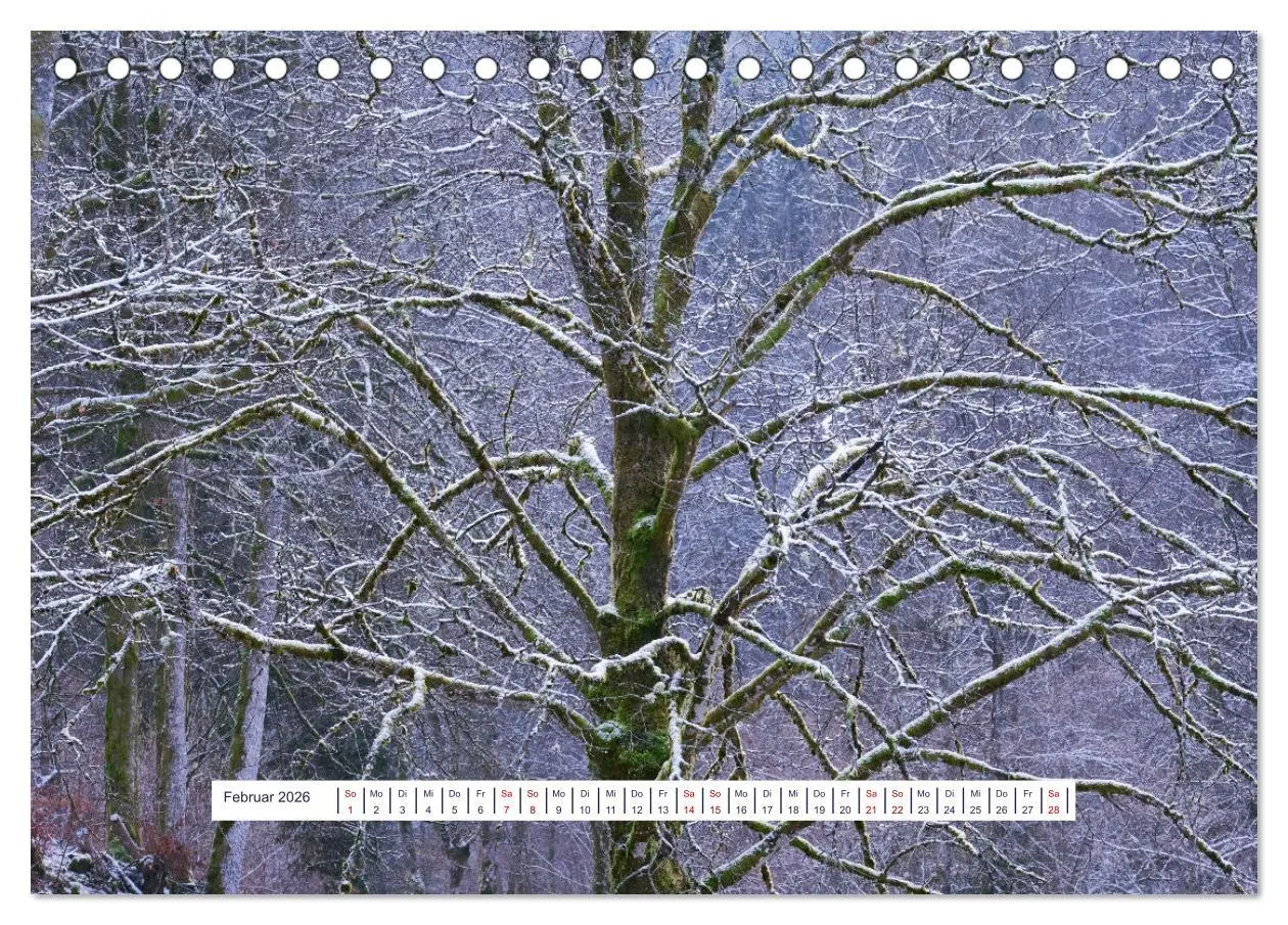 Bild: 9783457525173 | Vom Augenblick der Stille 2026 (Tischkalender 2026 DIN A5 quer),...