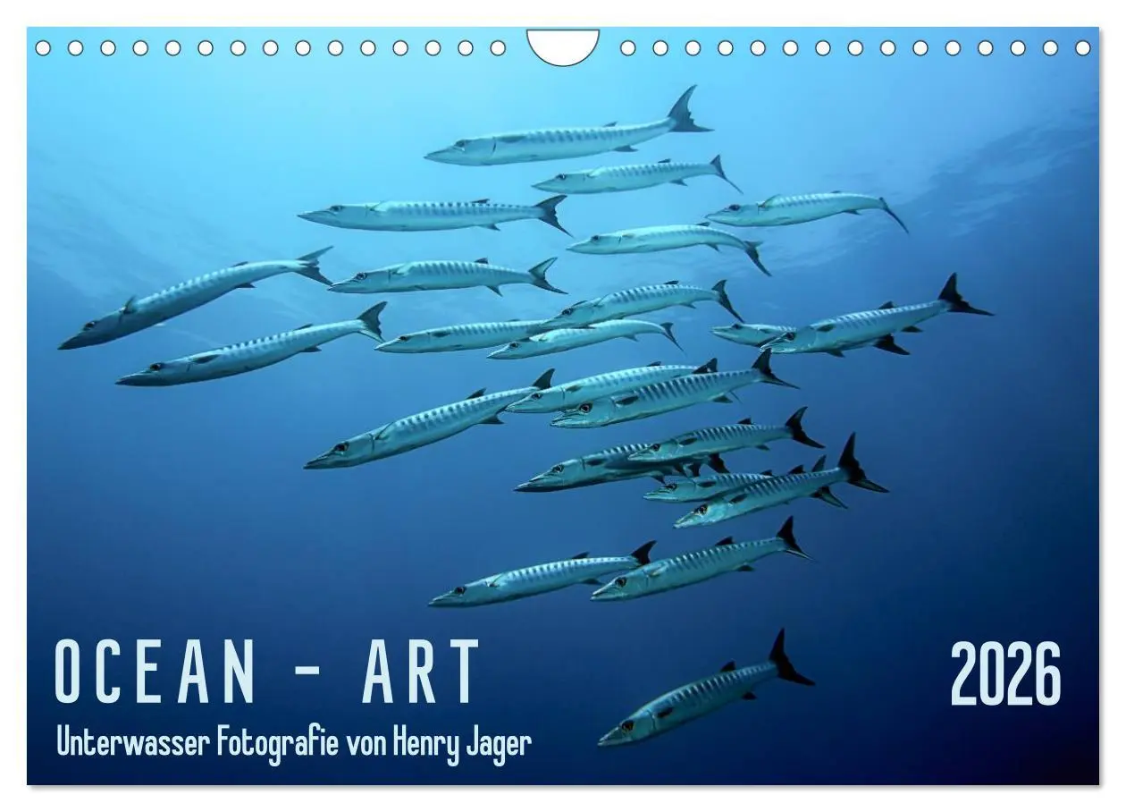 Cover: 9783516155273 | Ocean-Art / CH-Version (Wandkalender 2026 DIN A4 quer), CALVENDO...
