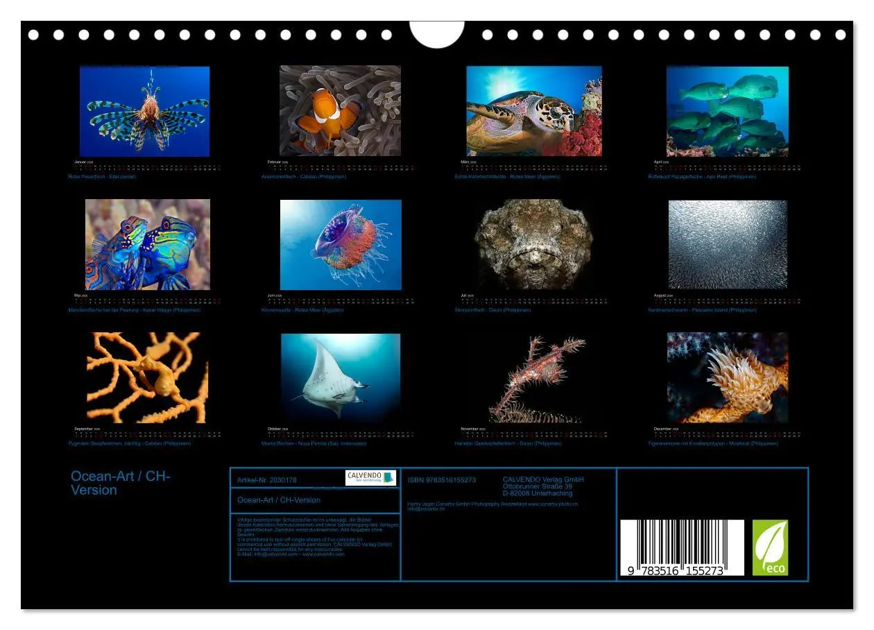 Bild: 9783516155273 | Ocean-Art / CH-Version (Wandkalender 2026 DIN A4 quer), CALVENDO...