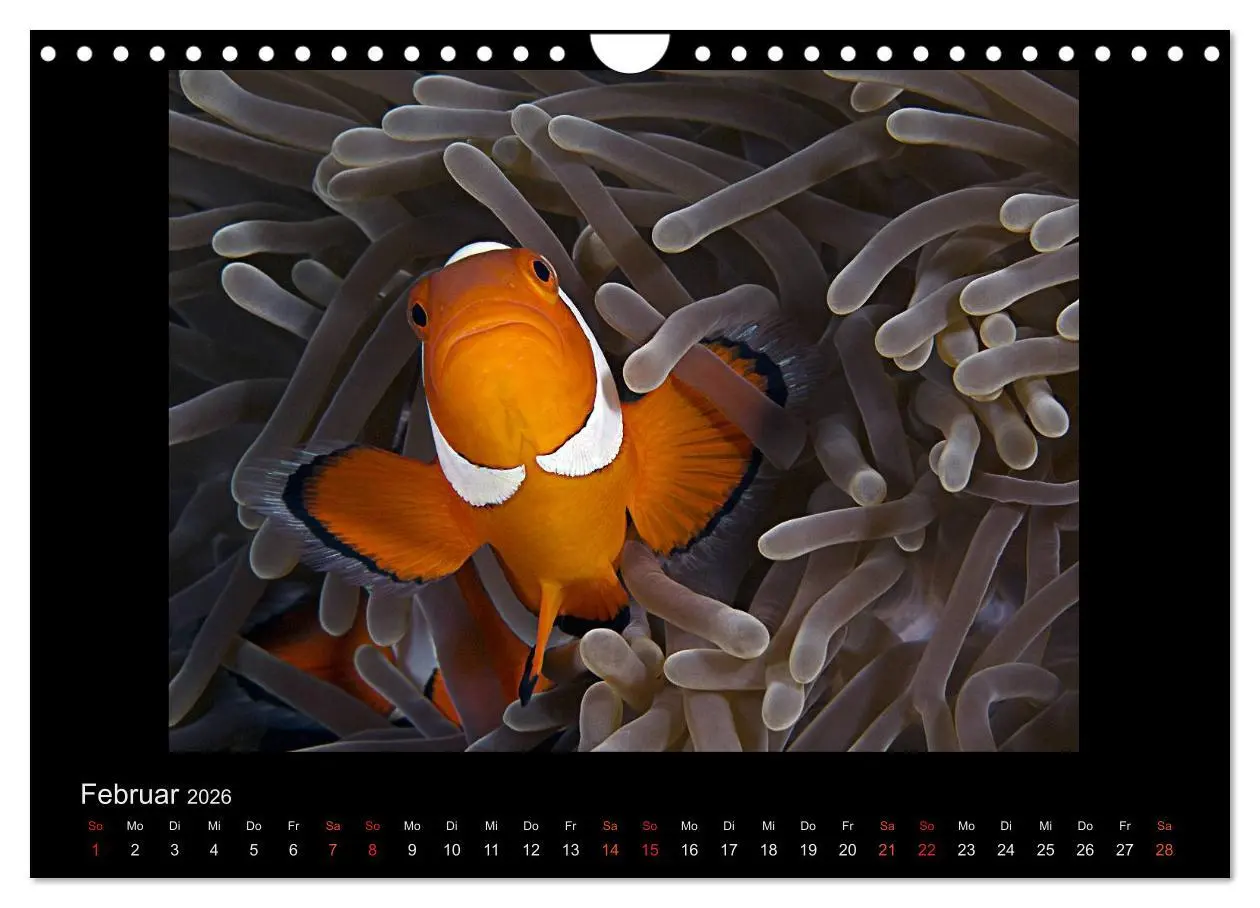 Bild: 9783516155273 | Ocean-Art / CH-Version (Wandkalender 2026 DIN A4 quer), CALVENDO...