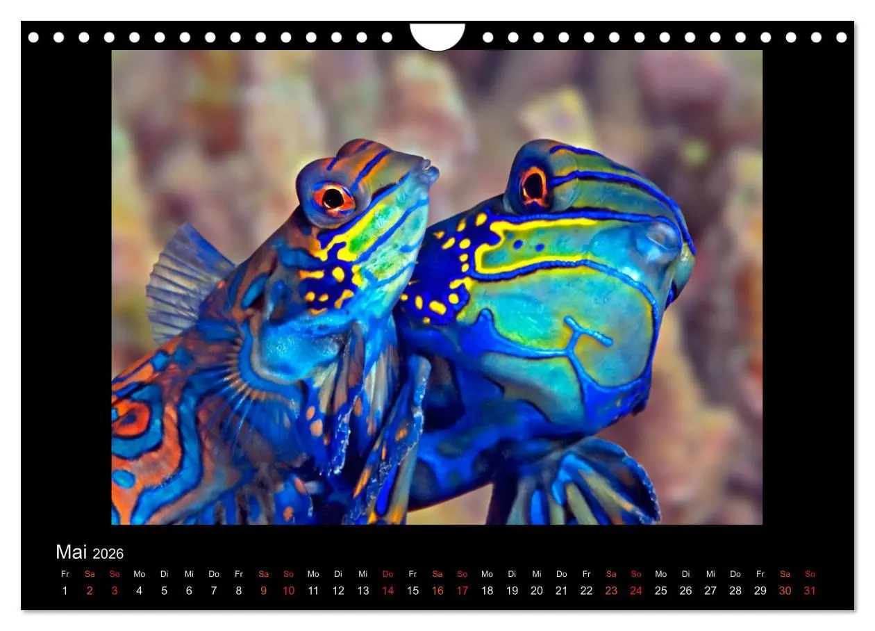 Bild: 9783516155273 | Ocean-Art / CH-Version (Wandkalender 2026 DIN A4 quer), CALVENDO...