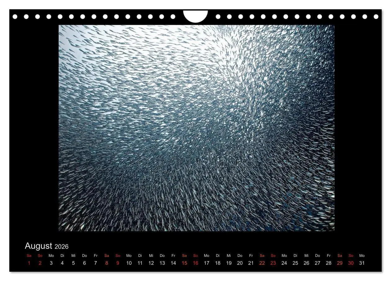 Bild: 9783516155273 | Ocean-Art / CH-Version (Wandkalender 2026 DIN A4 quer), CALVENDO...