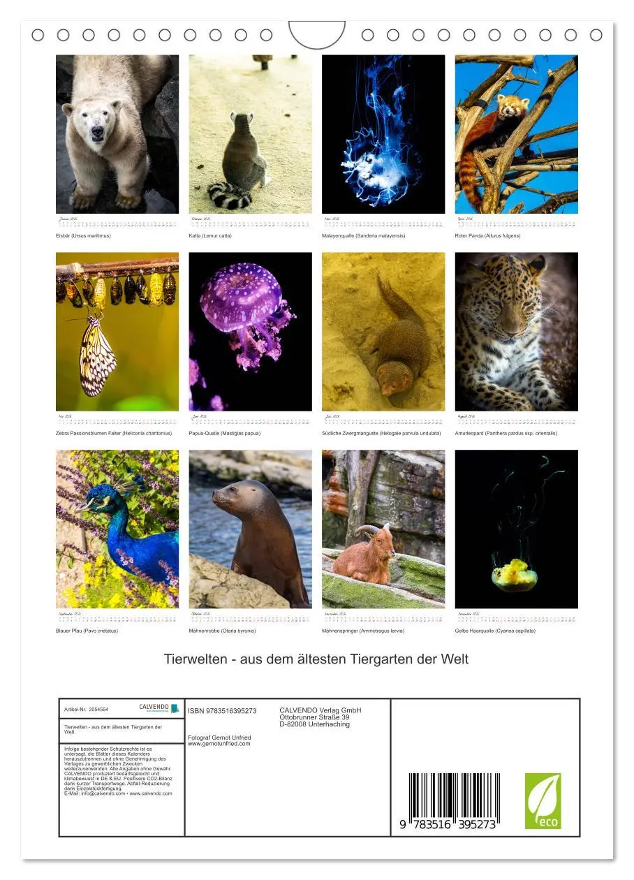 Bild: 9783516395273 | Tierwelten - aus dem ältesten Tiergarten der Welt (Wandkalender...