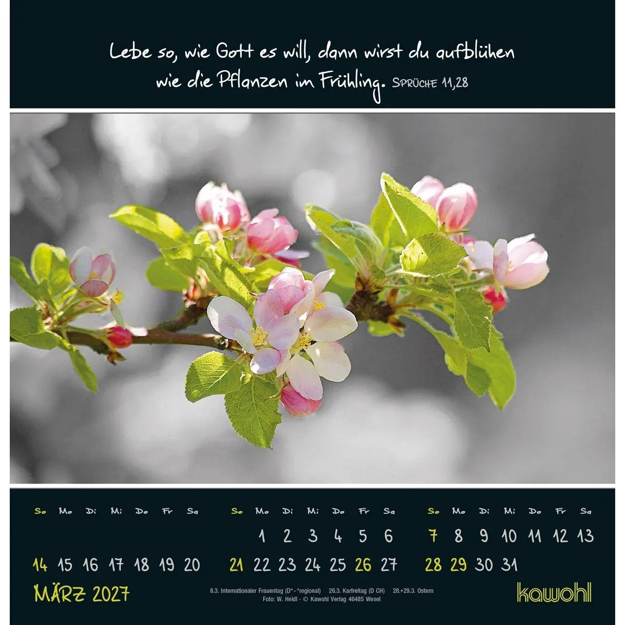 Bild: 9783754825273 | Kleine Wunder entdecken 2027 | Wandkalender mit christlichen Texten
